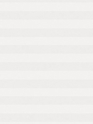 Preview Store plissé Kreppa Perlex 1601.1554 4