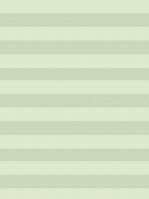 Preview Feu vert plissé 5106.5040 4