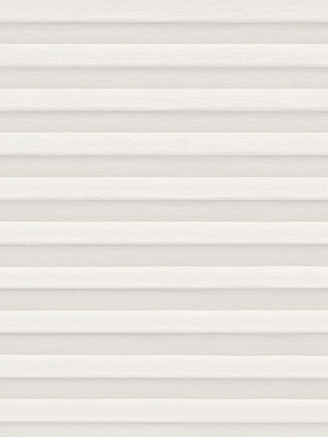 Preview Zapote 12.195 0