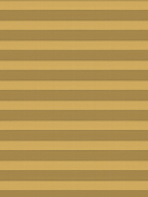 Preview Pinon 31.556 0