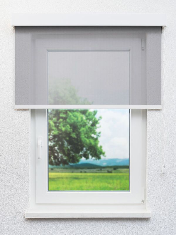 Detailansicht Le vingtième millième cent soixante et u