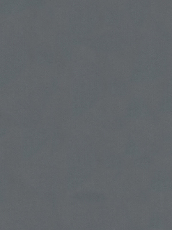 Detailansicht Feuille 30.302e