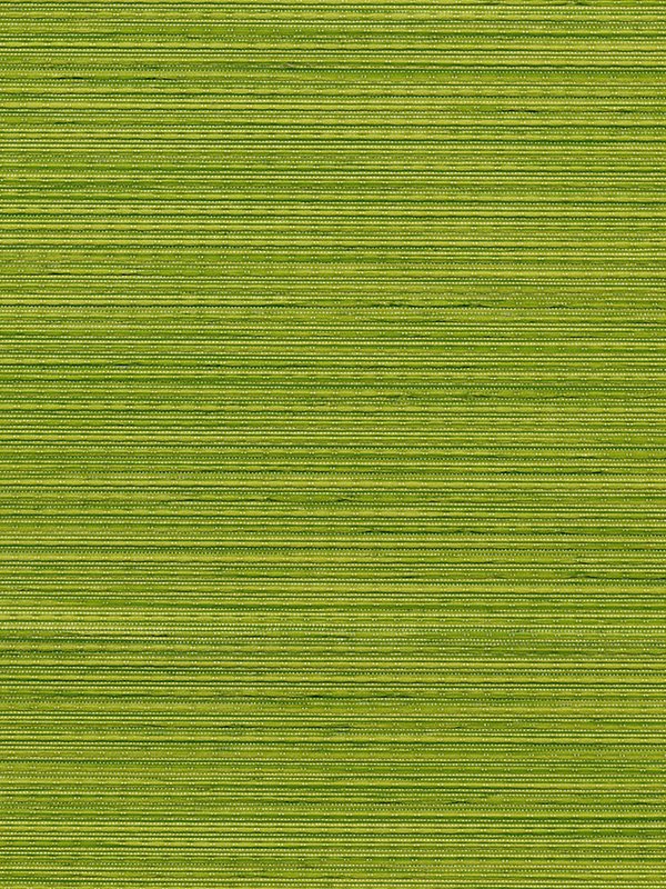 Detailansicht store enrouleur Ankaa 5506.1406