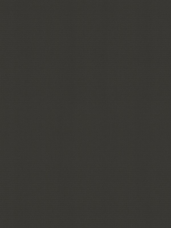 Detailansicht Braunlage 40.133e