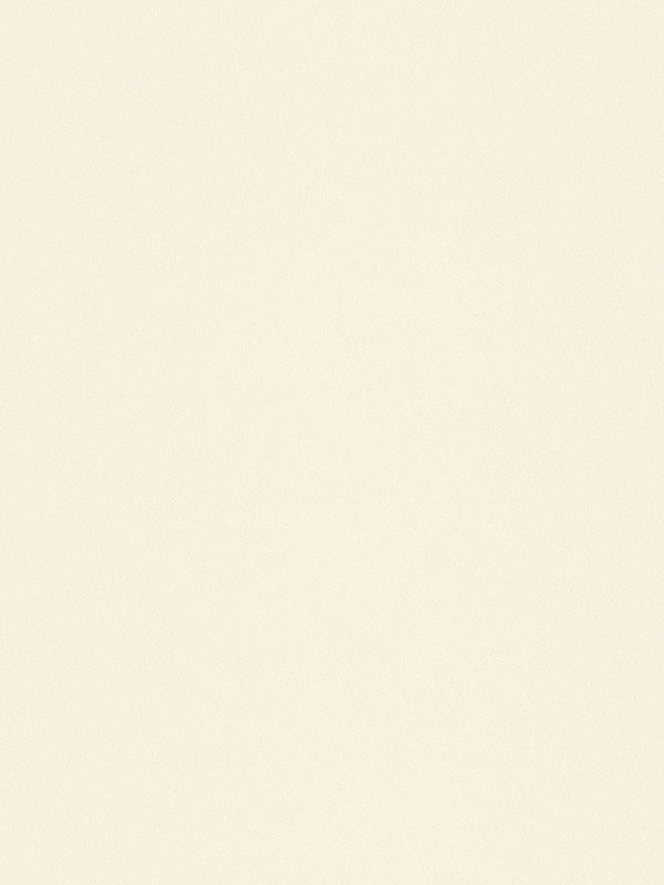 Detailansicht Dornburg 91.563e