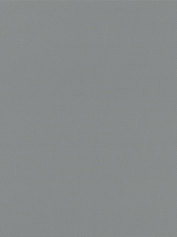 Detailansicht Brüssow 20.784e