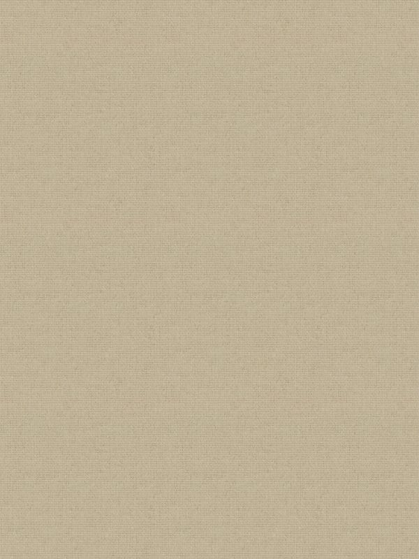 Detailansicht Felis Dark 5501.5212