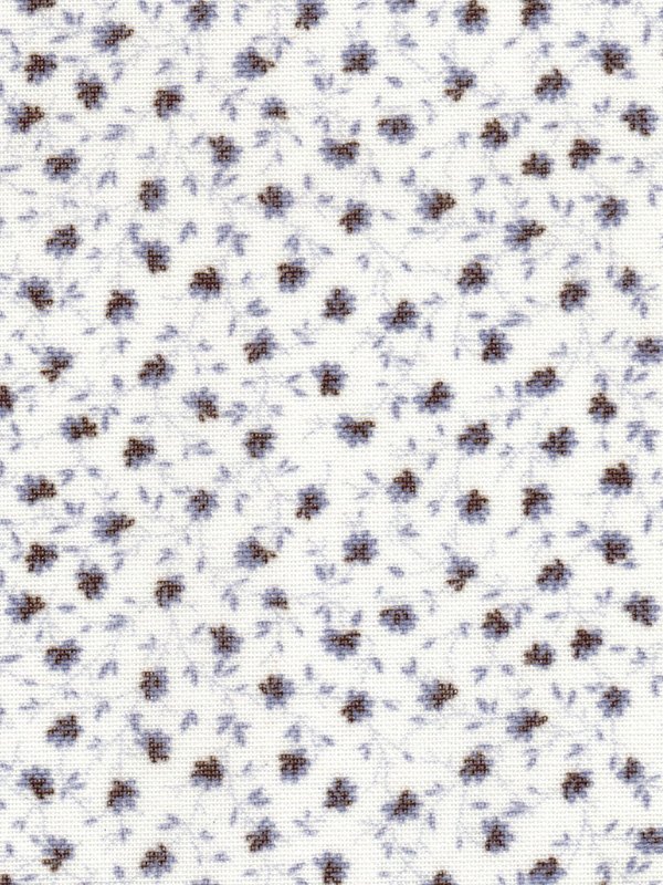 Detailansicht Store Adry 5505.3703