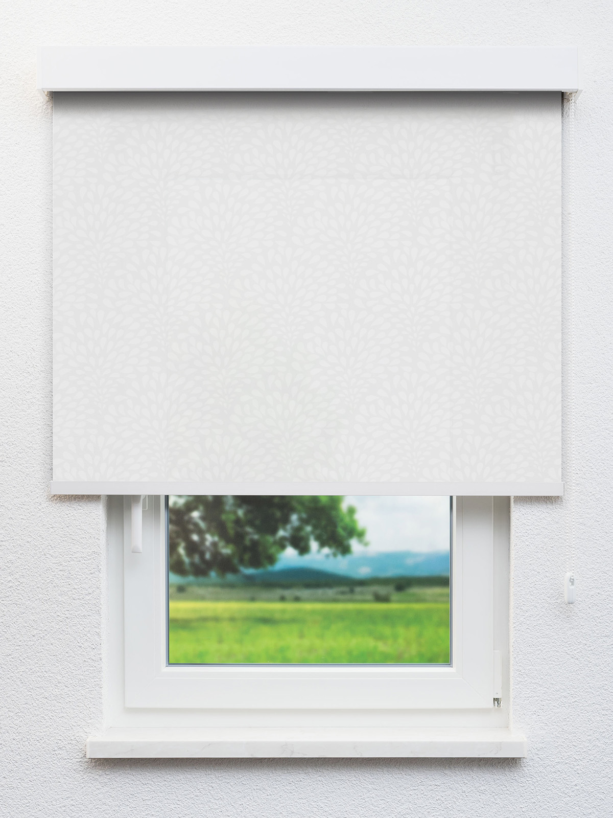 Detailansicht Gartz 12.196e