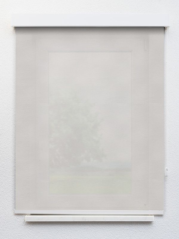 Detailansicht Geesthacht 12 496e