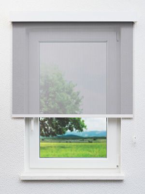 Dassel 20.161e Fensteransicht