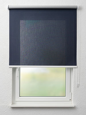 Dassel 76.161e Fensteransicht