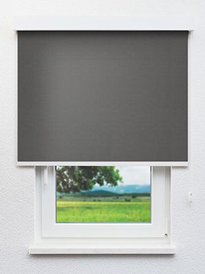 Böhlen 20.861e Fensteransicht