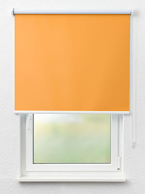 Feuille 11.302e Fensteransicht