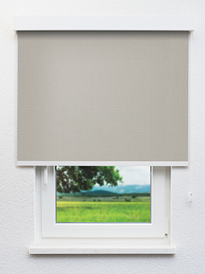 Delbrück 31.112e Fensteransicht