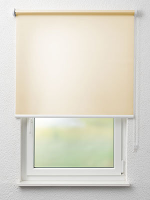 Delitzsch 32.312e Fensteransicht