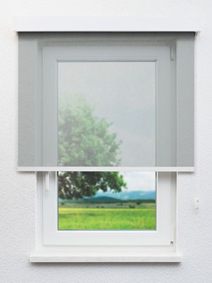 Demmin 20.822e Fensteransicht