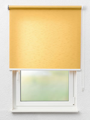 Dix 01.913e Fensteransicht