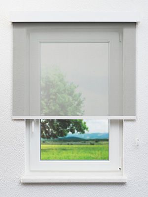 Dillingen 10.023e Fensteransicht