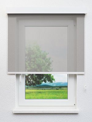 Brownlage 10.133e Fensteransicht