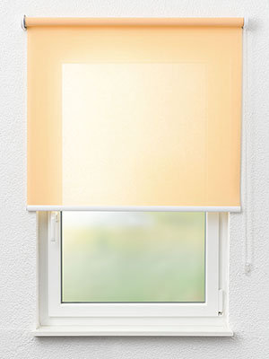 Dulmen 52.814e Fensteransicht