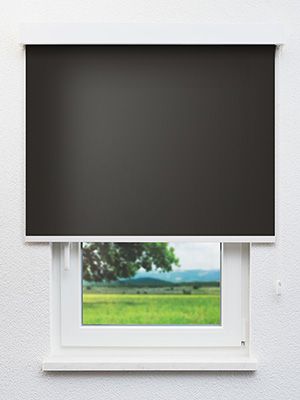 Brasseur 40.064e Fensteransicht