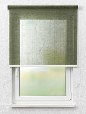 Buchholz 88.105e Fensteransicht