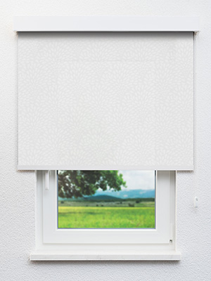 Gartz 12.196e Fensteransicht