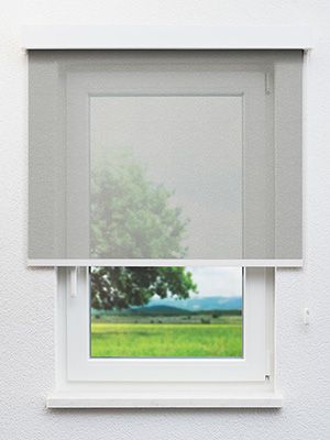 Altentreptow 10.127e Fensteransicht