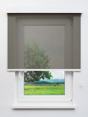 Altentreptow 50.127e Fensteransicht