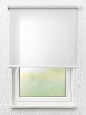 Arneburg 12.047e Fensteransicht