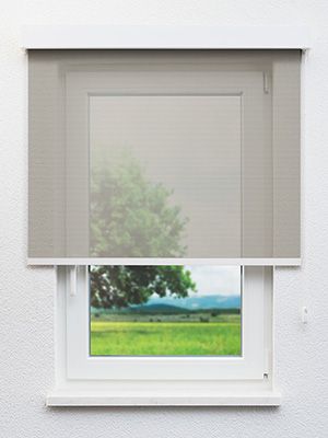 Dassow 91.028e Fensteransicht