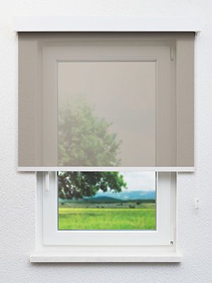 Balingen 21.558e Fensteransicht