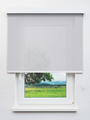 Seelen 10.068e Fensteransicht