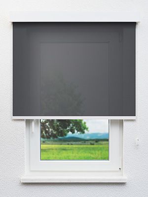 Ames 30.068e Fensteransicht