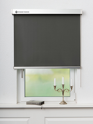 Store occultant Fang 5508.5105 Fensteransicht