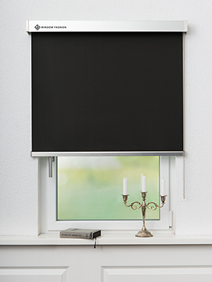 Store occultant Fang 5509.5101 Fensteransicht