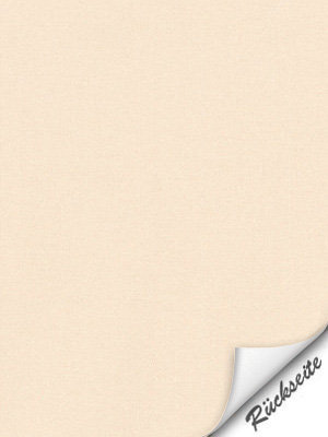 Preview Cuxhaven 91.421e 2