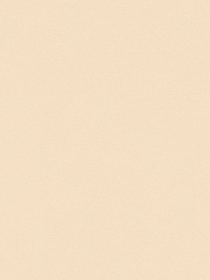 Preview Delitzsch 32.312e 2