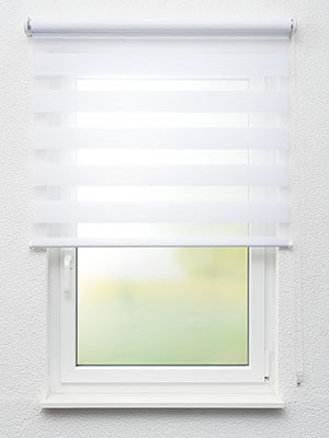 Stoff Rollo Maßanfertigung Bergheim 12.572e