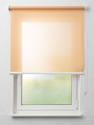 Detailansicht verfügbar. - Hier Klicken! Stoff Rollo Maßanfertigung Dreieich 72.104e