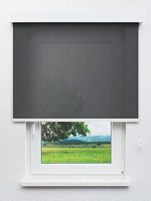 Stoff Rollo Maßanfertigung Pont 40.544e