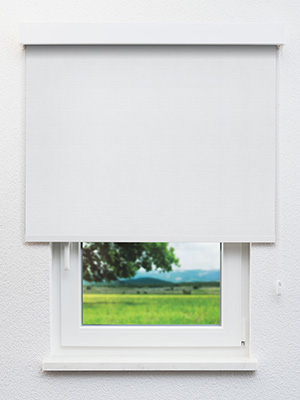 Detailansicht verfügbar. - Hier Klicken! Stoff Rollo Maßanfertigung Gelsenkirchen 10.278e