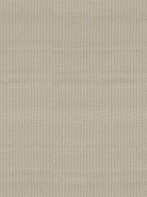 Preview Store Felis 5509.5203 5