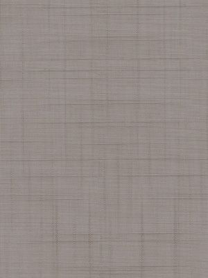 Preview Store Canopus 5509.1603 5