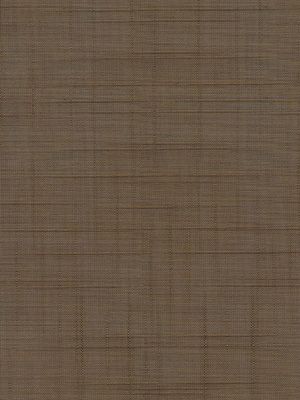 Preview Store Canopus 5507.1605 5