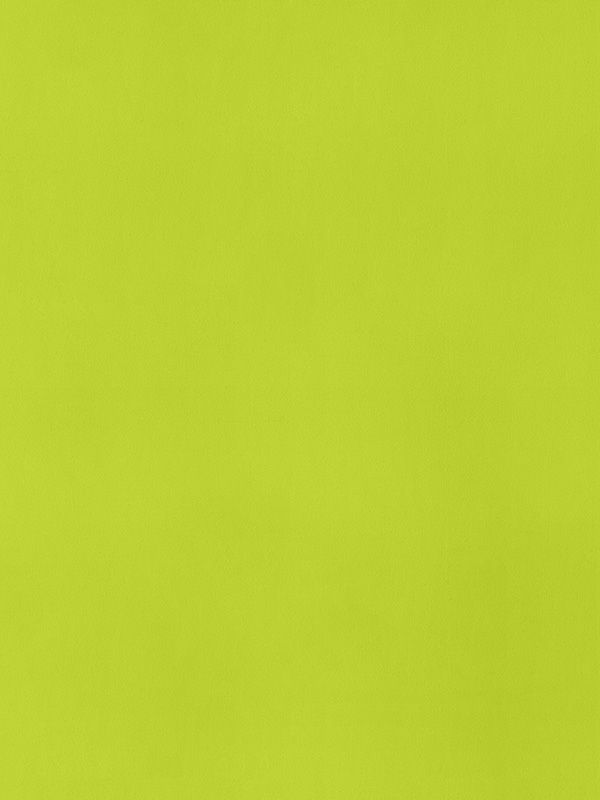 Detailansicht Falkenberg 98,850e