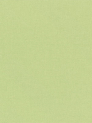 Clingen 98.040e Detailansicht