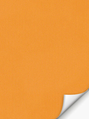 Feuille 11.302e Detailansicht