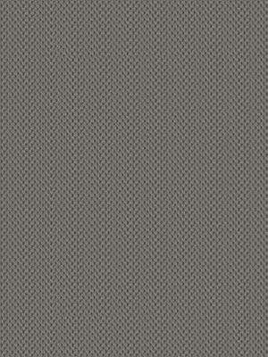 Brasseur 30.064e Detailansicht